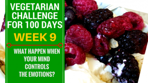 VEGETARIAN CHALLENGE FOR 100 DAYS, WEEK 9 NearyHengdotcom